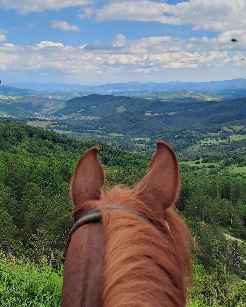 Agriturismo Le Ceregne bio