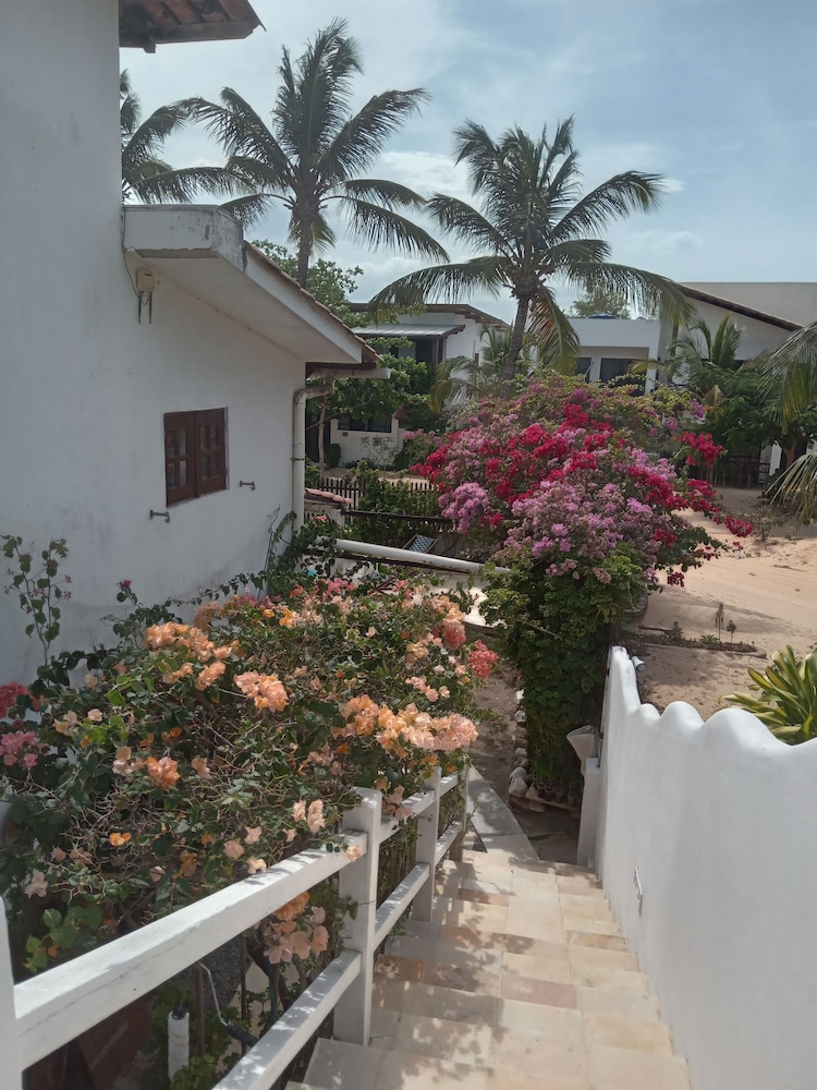 Villa Papaya