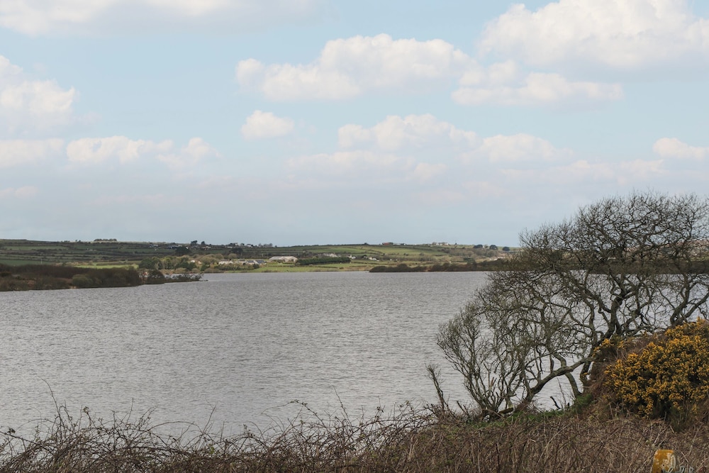 Cuckoo's Rest