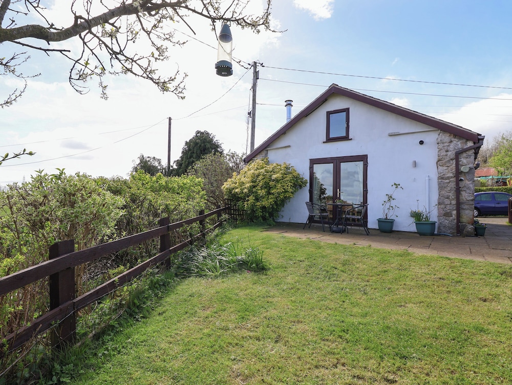 Dolphin Bach, photo 25