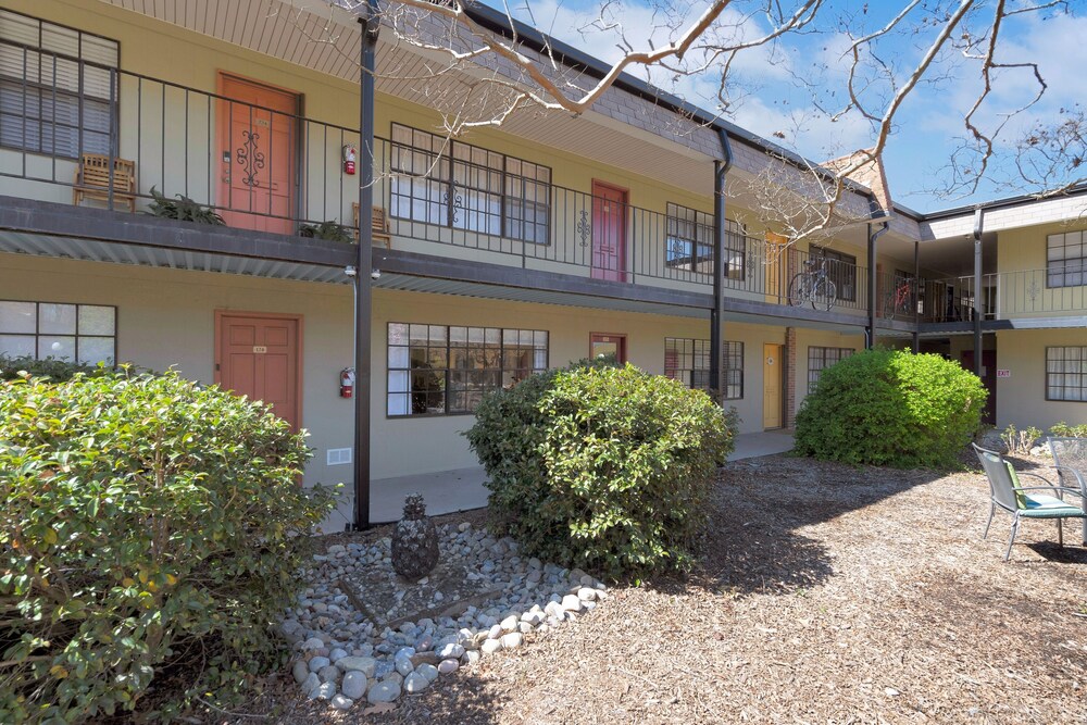 Bull City Easy 1 Bedroom Apts