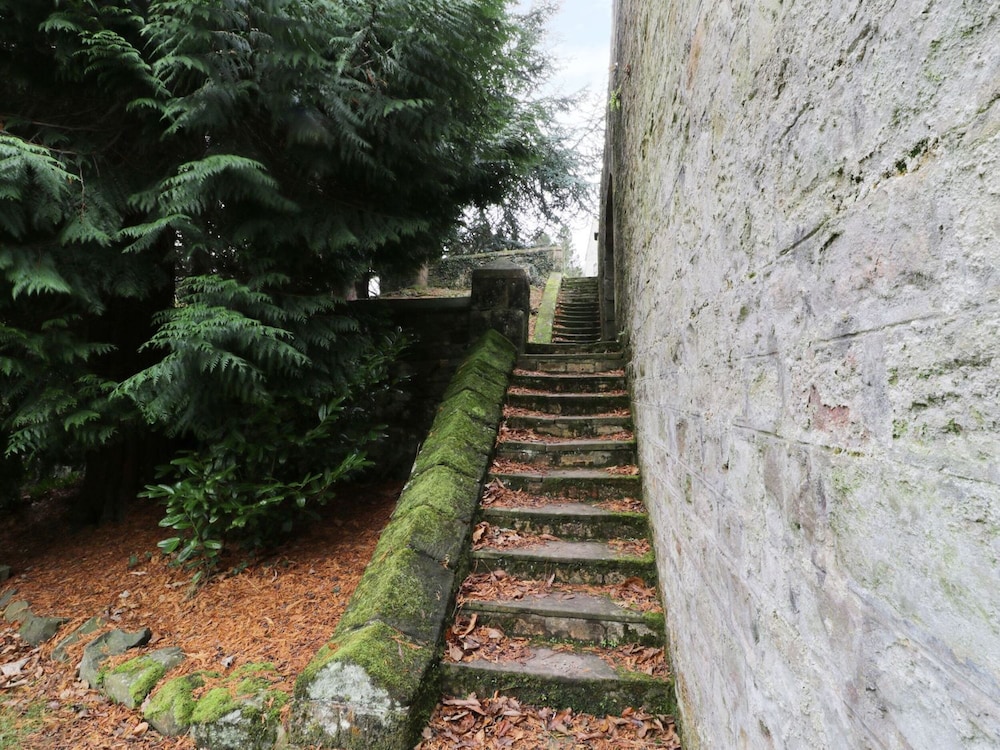 The Folly