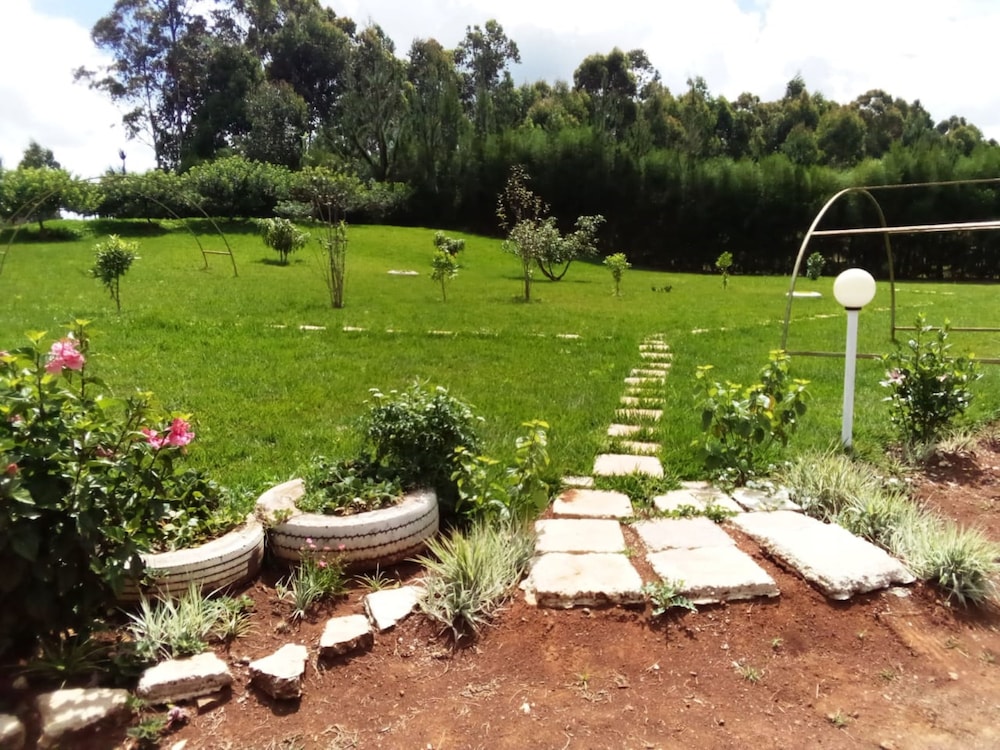 Photo 19