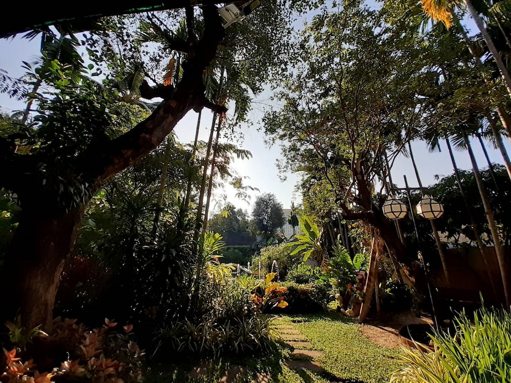 Viang Thapae Resort