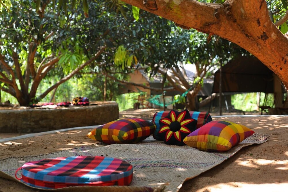 Camp Hasthi