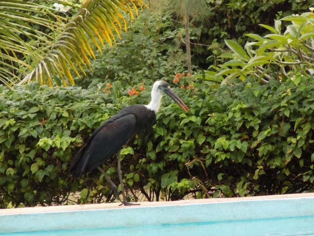 Eco Villas Watamu
