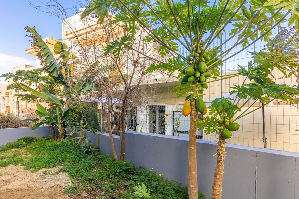 Garden Apartment in Gazion