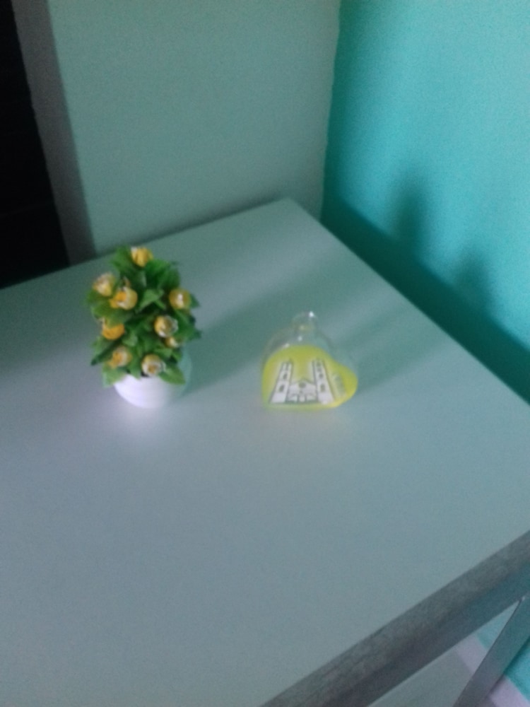Apartmani Mozaici view 5