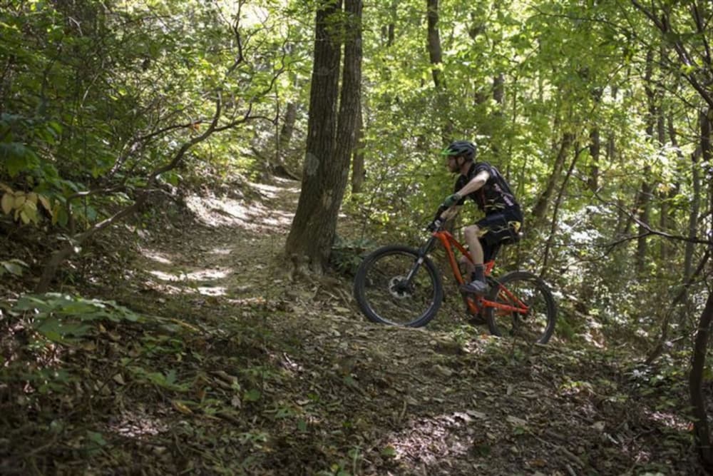 Riverfront Sanctuary Your Mountain Getaway