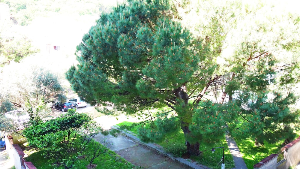 Casa Budva Apartments view 5