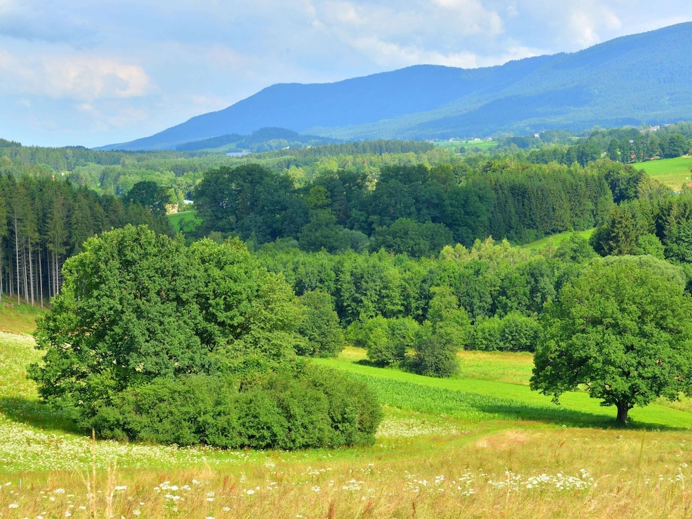 Comfort Apartment With Balcony in the Beautiful Bavarian Forest