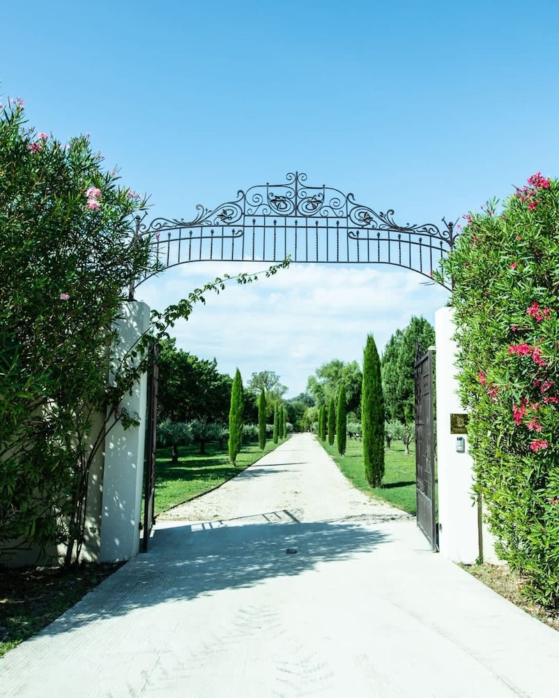 Charming Mas Provencal With Swimming Pool