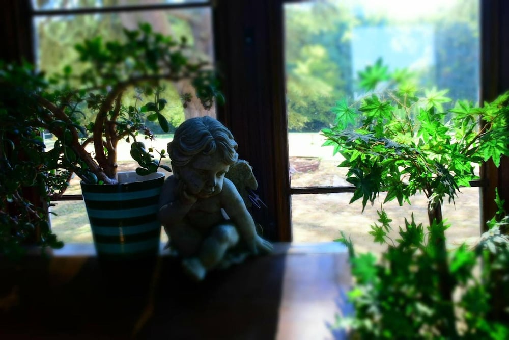 Photo 35