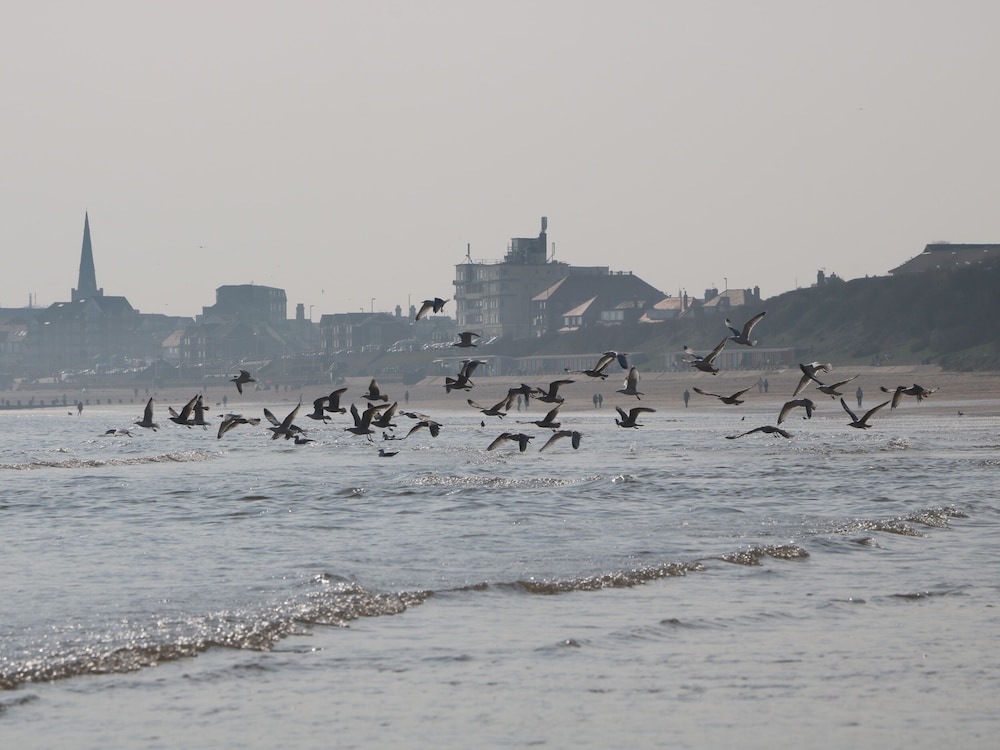 Wave and Sea