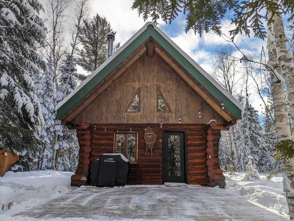 Lièvre Rouge- Refuge en forêt