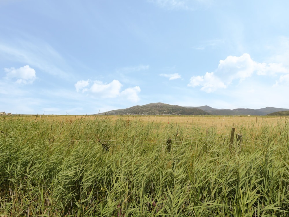 Hafod-y-gors