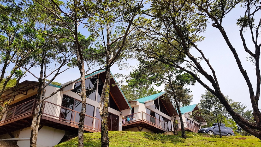 Green Forest Vacations Homes