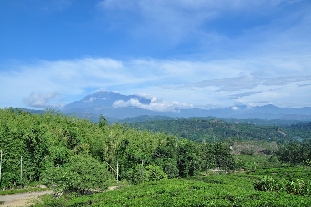 Sabah Tea Resort