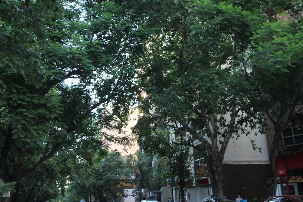 Boulevard Illia 11C