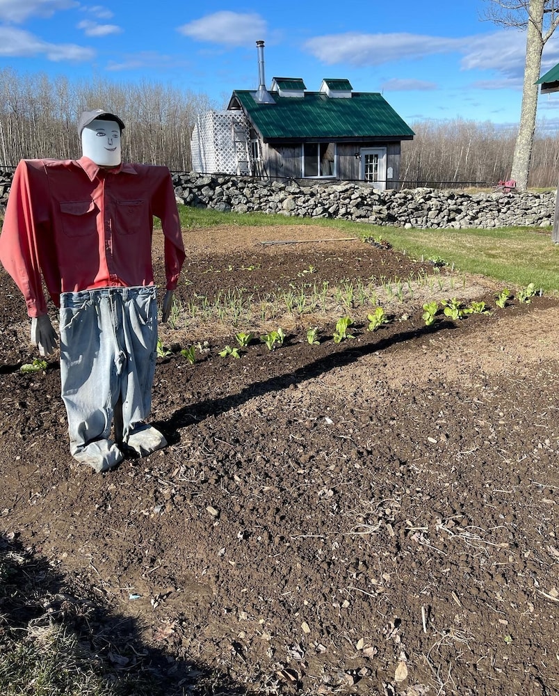 Blueberry Fields B&B