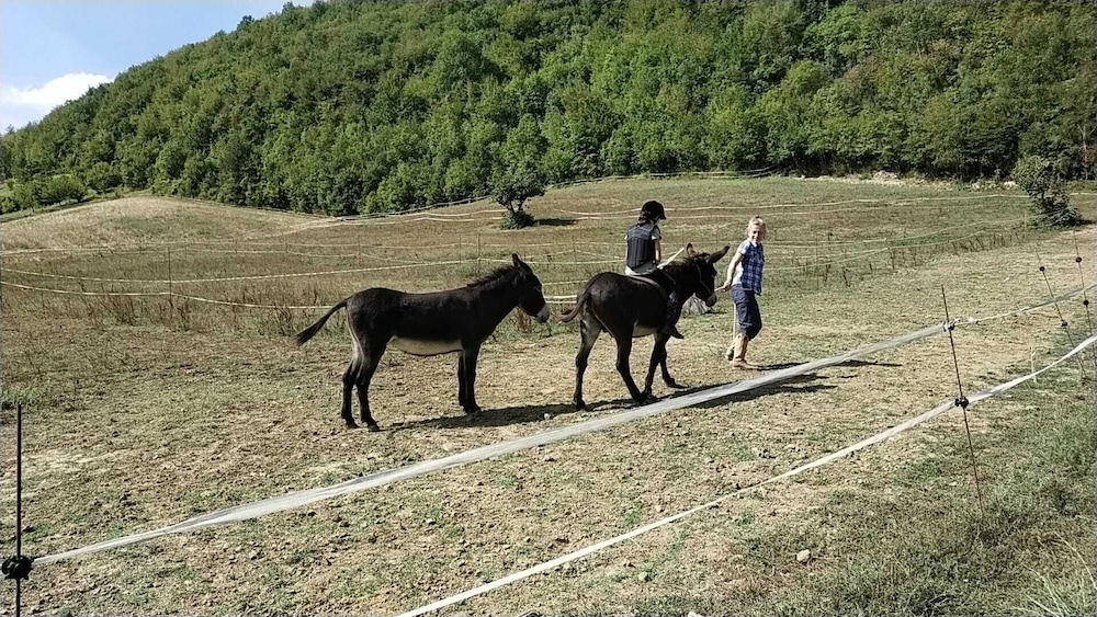 Agriturismo Campo Rosso
