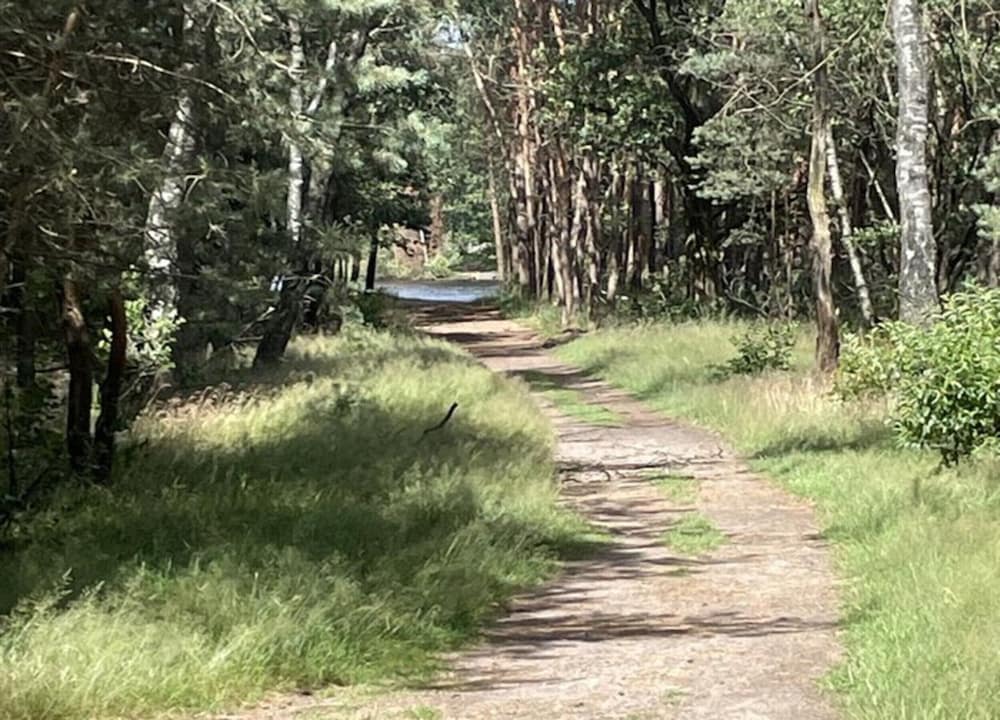 Calming Hideaway in Veluwe