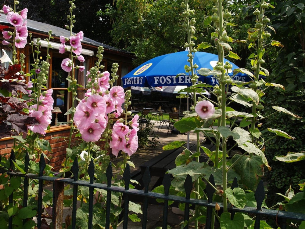 Photo 41