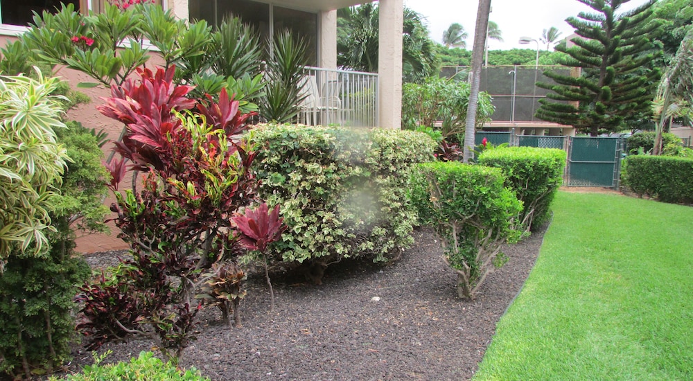 Royal Kahana Resort by rkmaui