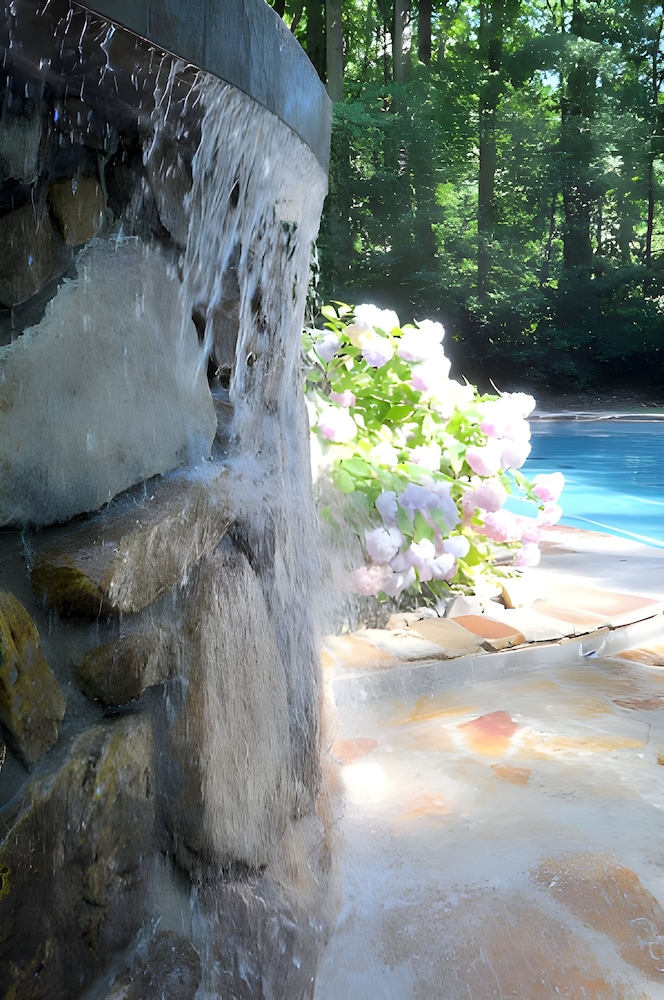 Autumn Wings - A Natural Retreat - Property Image 15