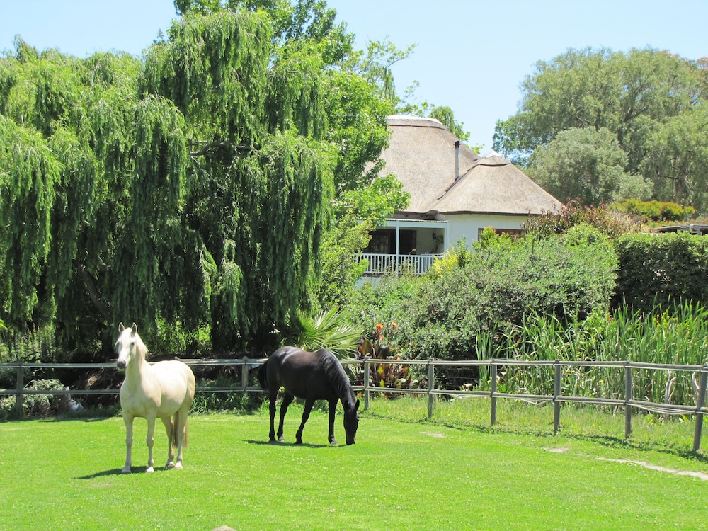Acara Guest Cottages