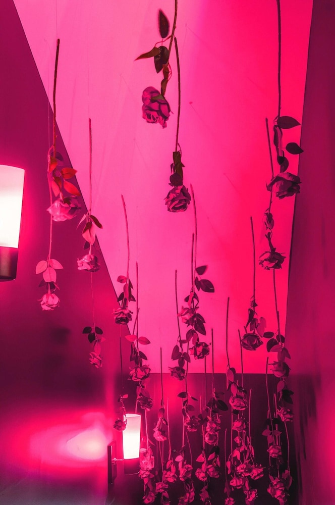 Elvis-themed 13 Beds Rooftop City Views
