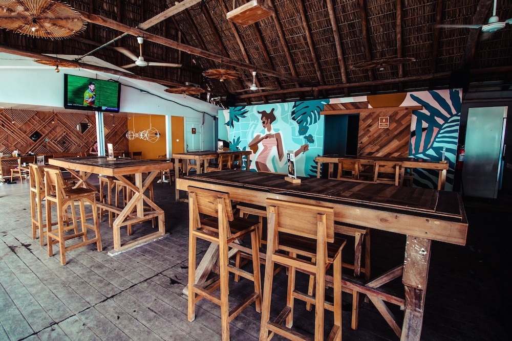 Selina Jaco - Hostel