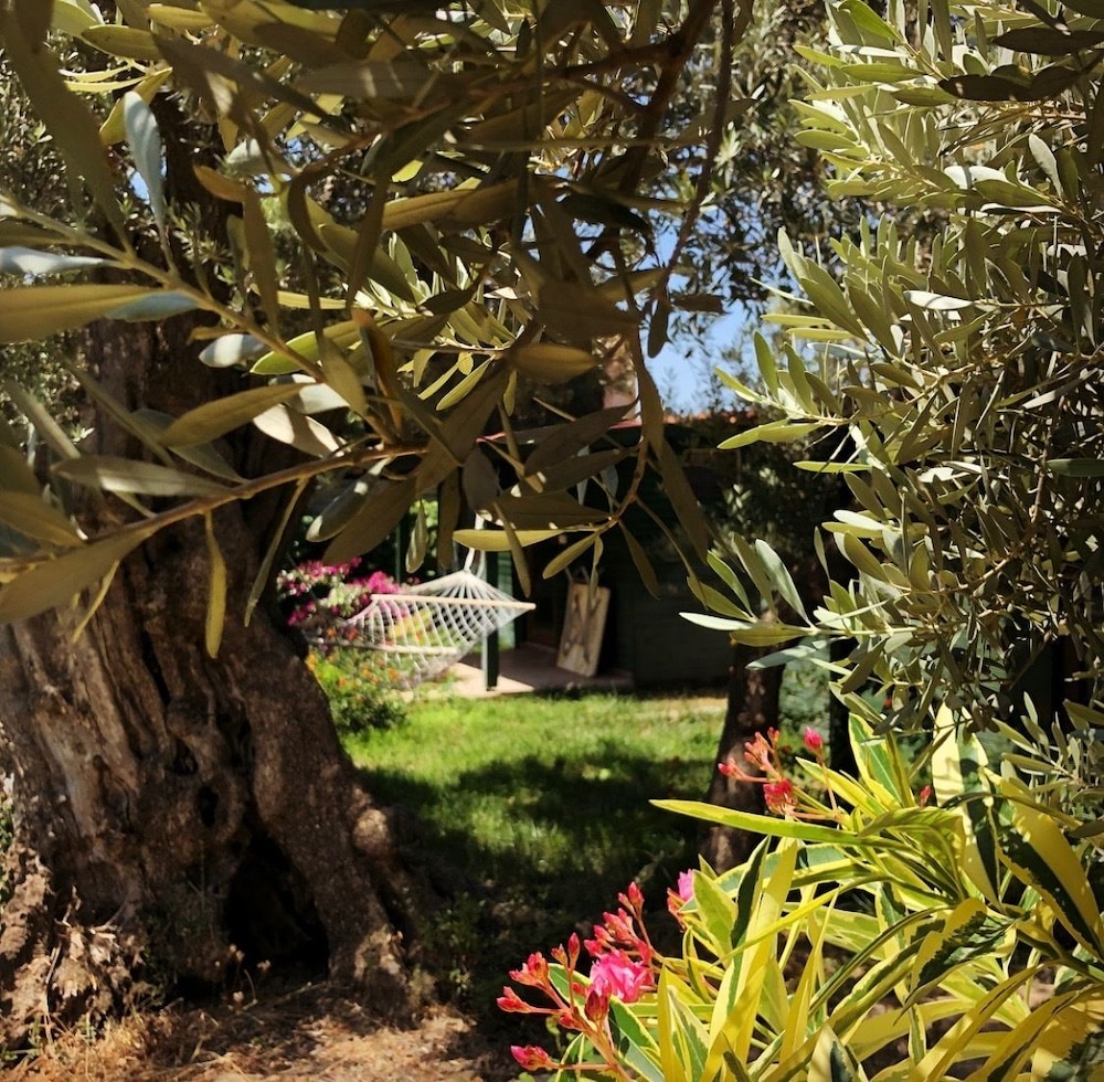 My Bungalov