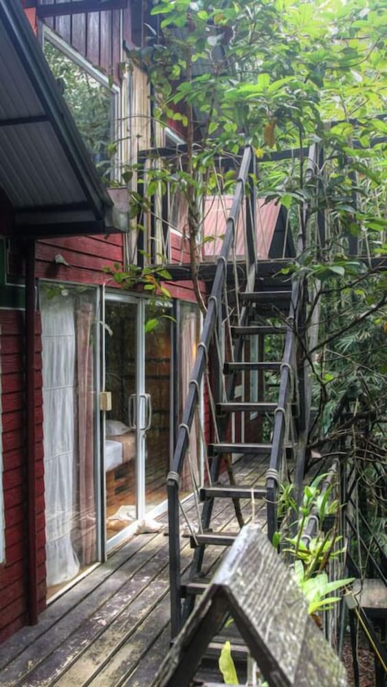 Khao Sok Tree House