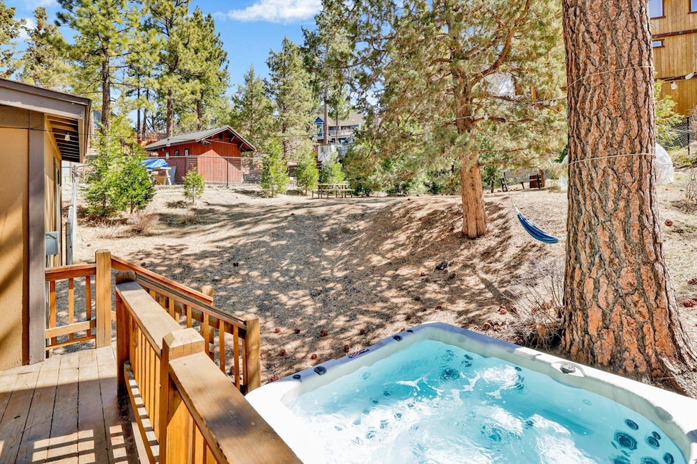 Big Cub Cabin #2521