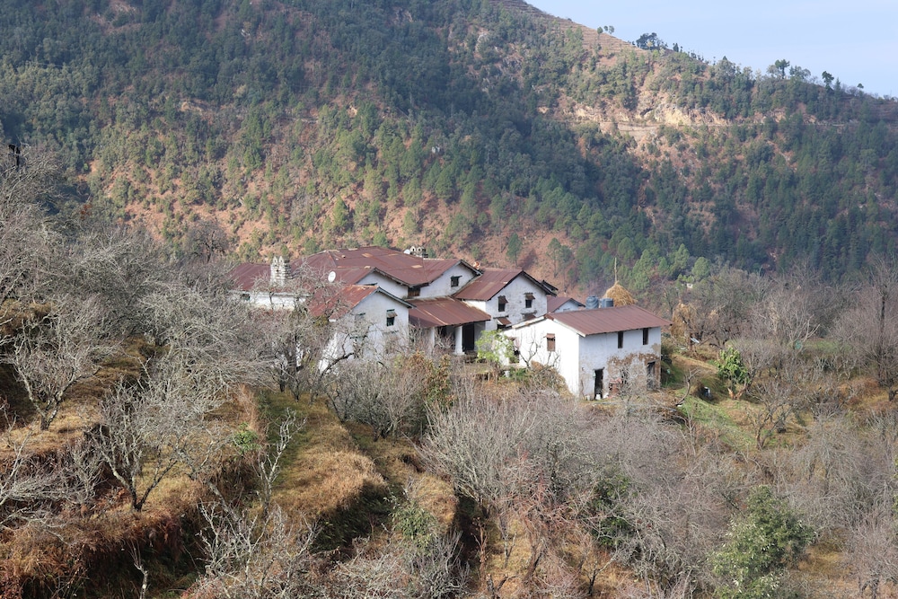 Mountain bnb hartola Uttarakhand