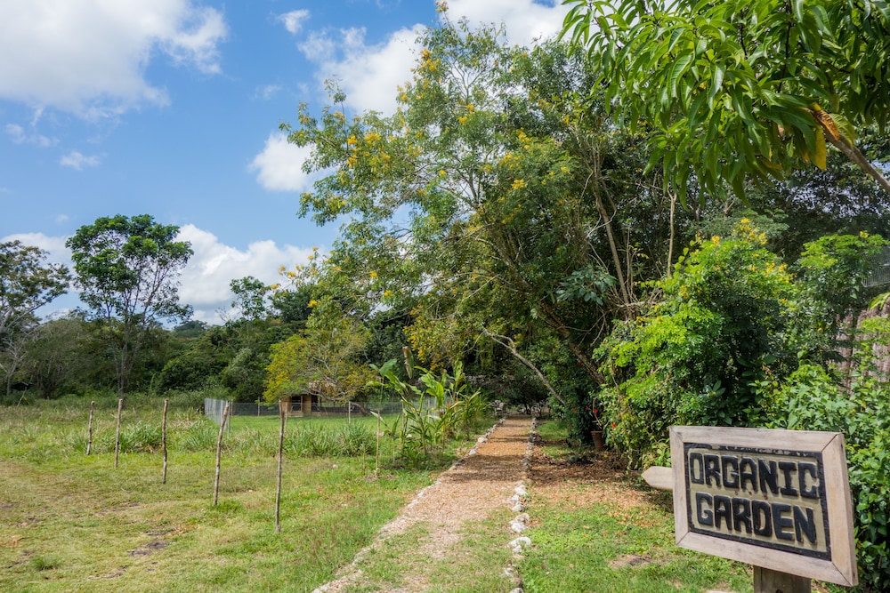 Belize Vacations - Ka'ana Resort - Property Image 188