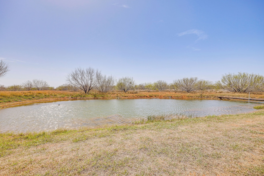 Hike, Hunt & Fish: Pet-friendly Studio in Dilley!