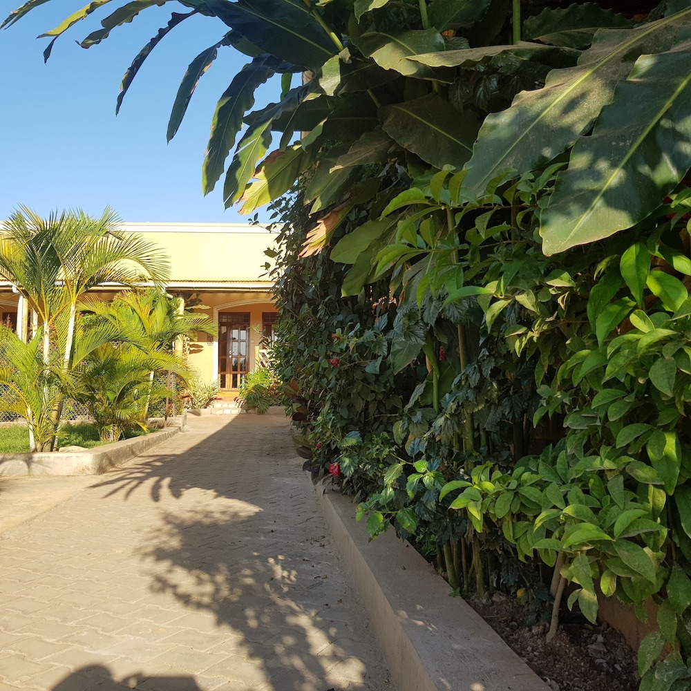 African Roots Entebbe
