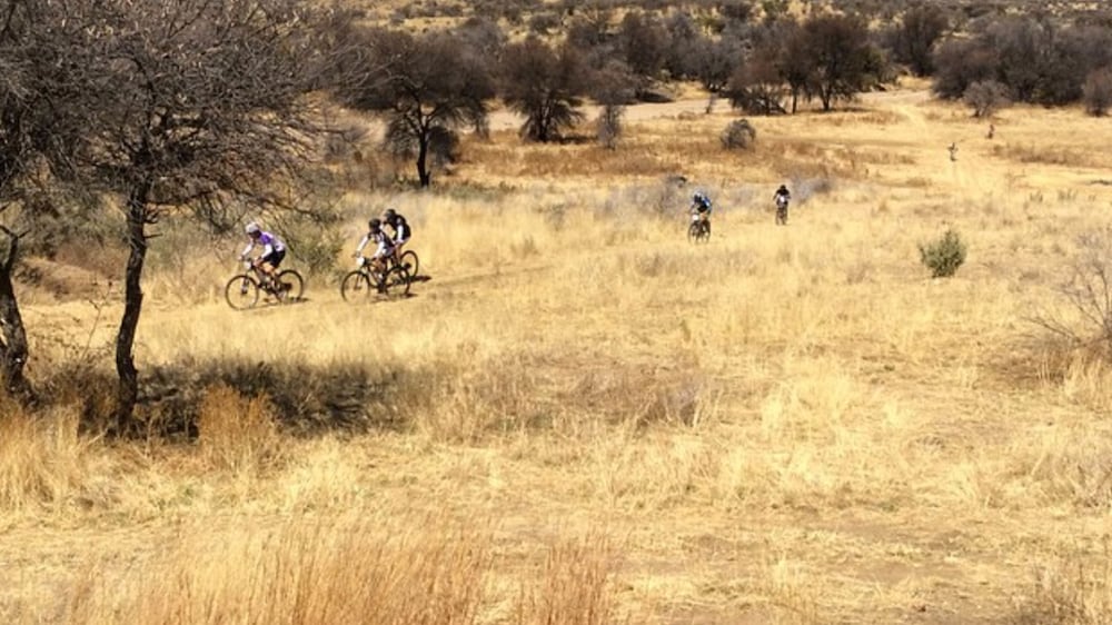 Leopard Lodge