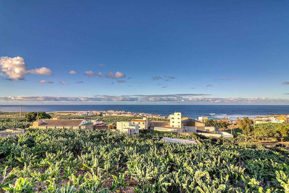 Special Home w Tropical Garden Near Seaside
