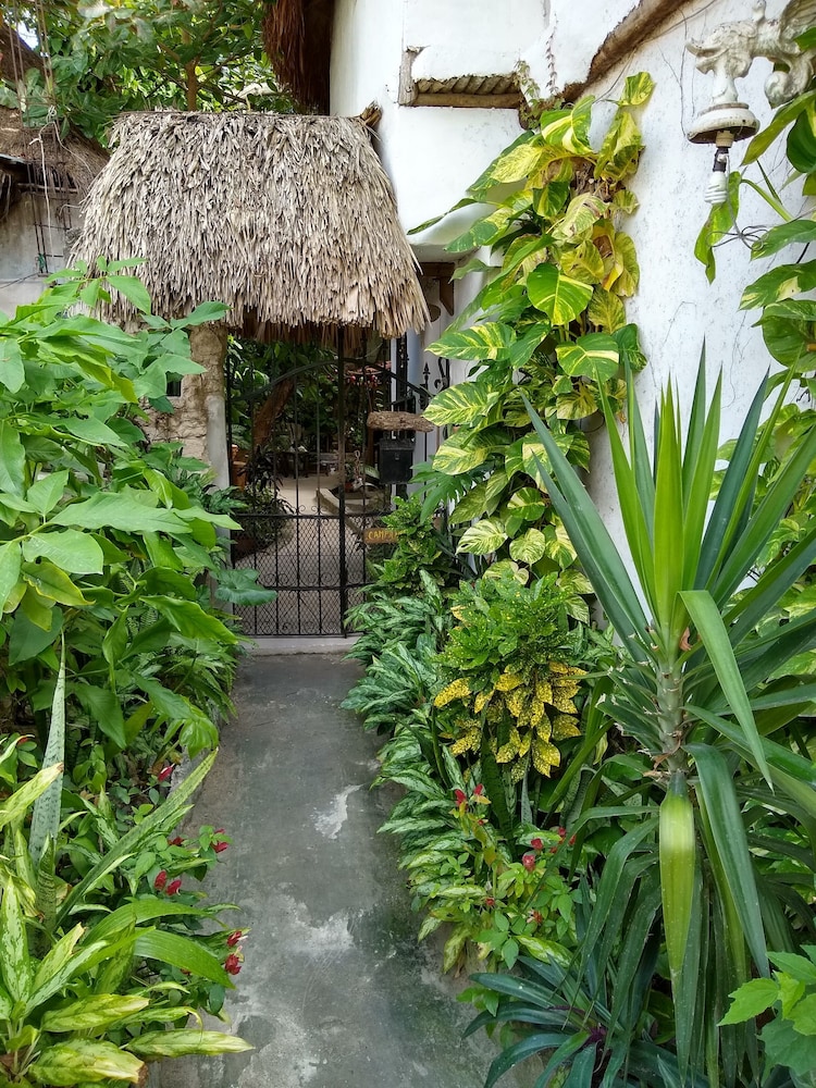 Casitas Kinsol