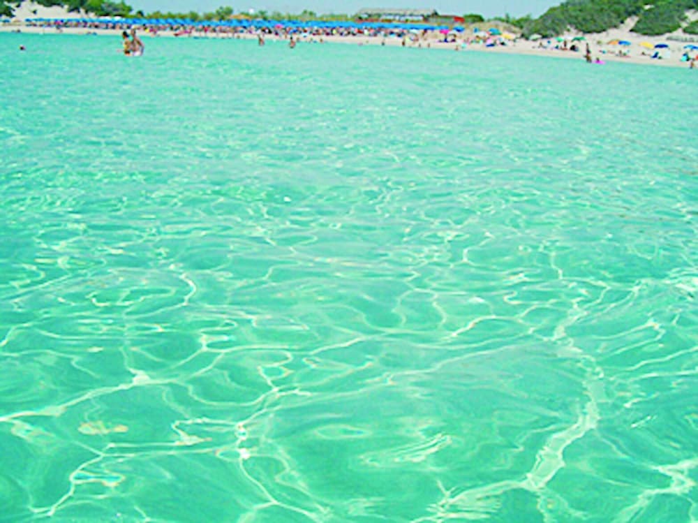 Punta Prosciutto Apartments To Rent is Only 100 Metres From the Beach view 5