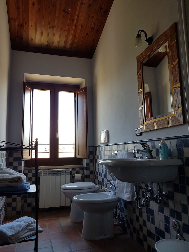 La Cicala