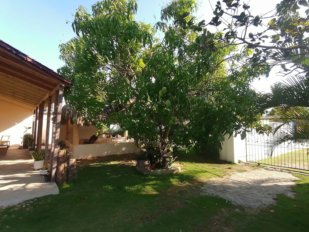 Photo 27