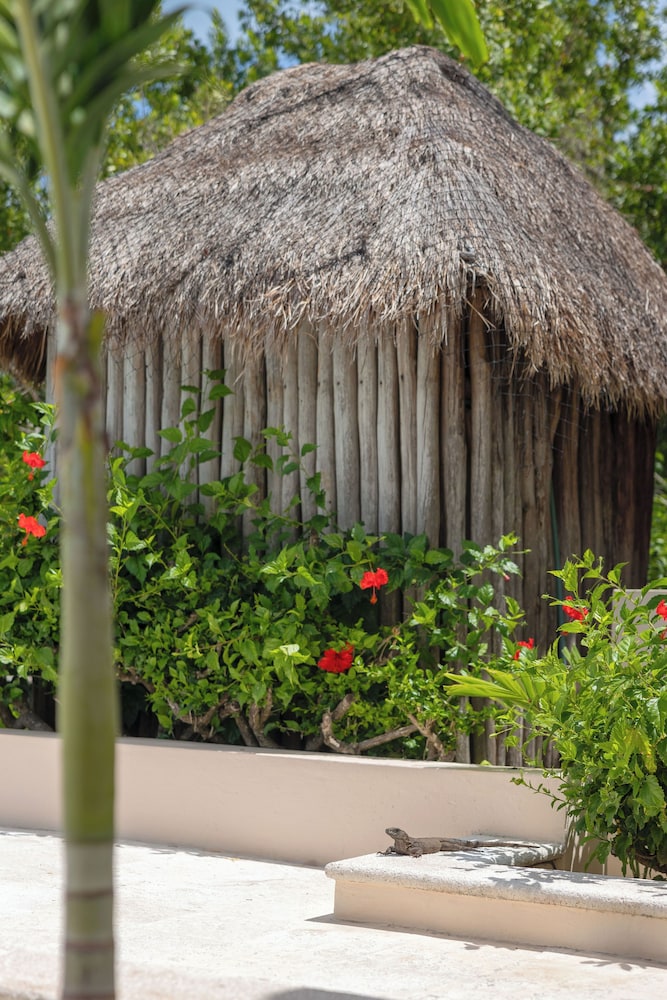 Casa playa cozumel