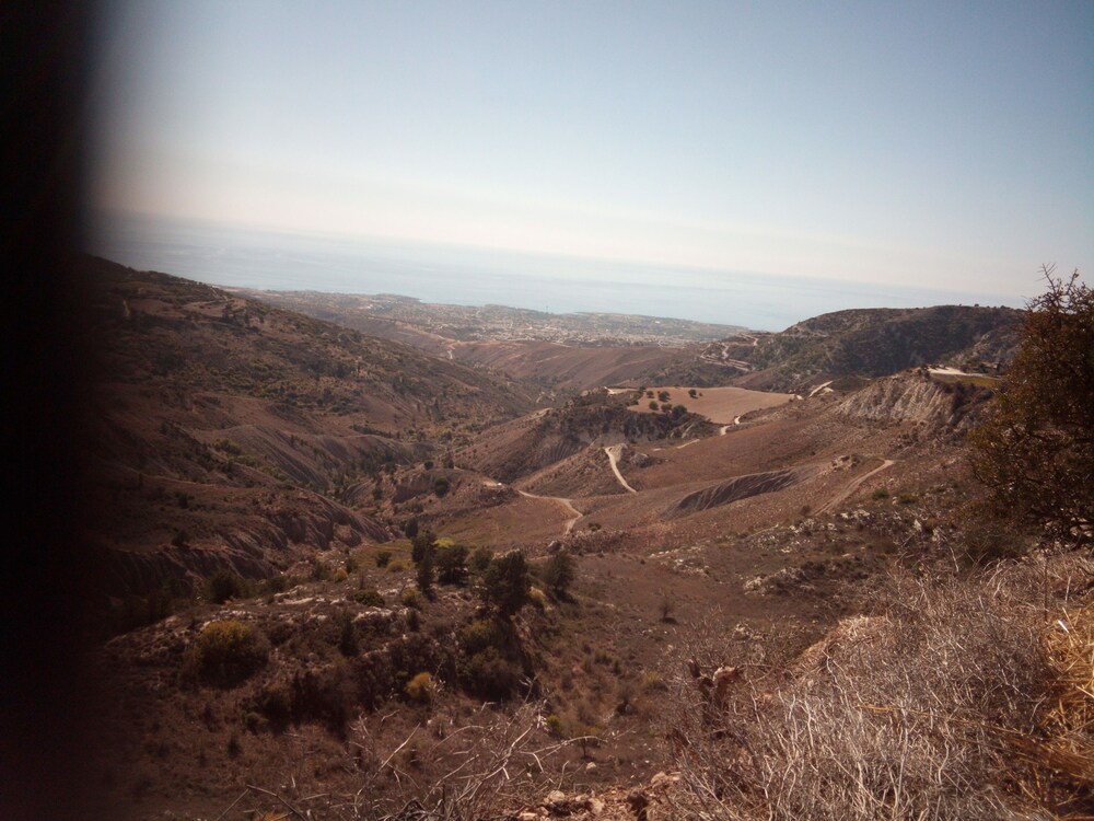 Photo 31