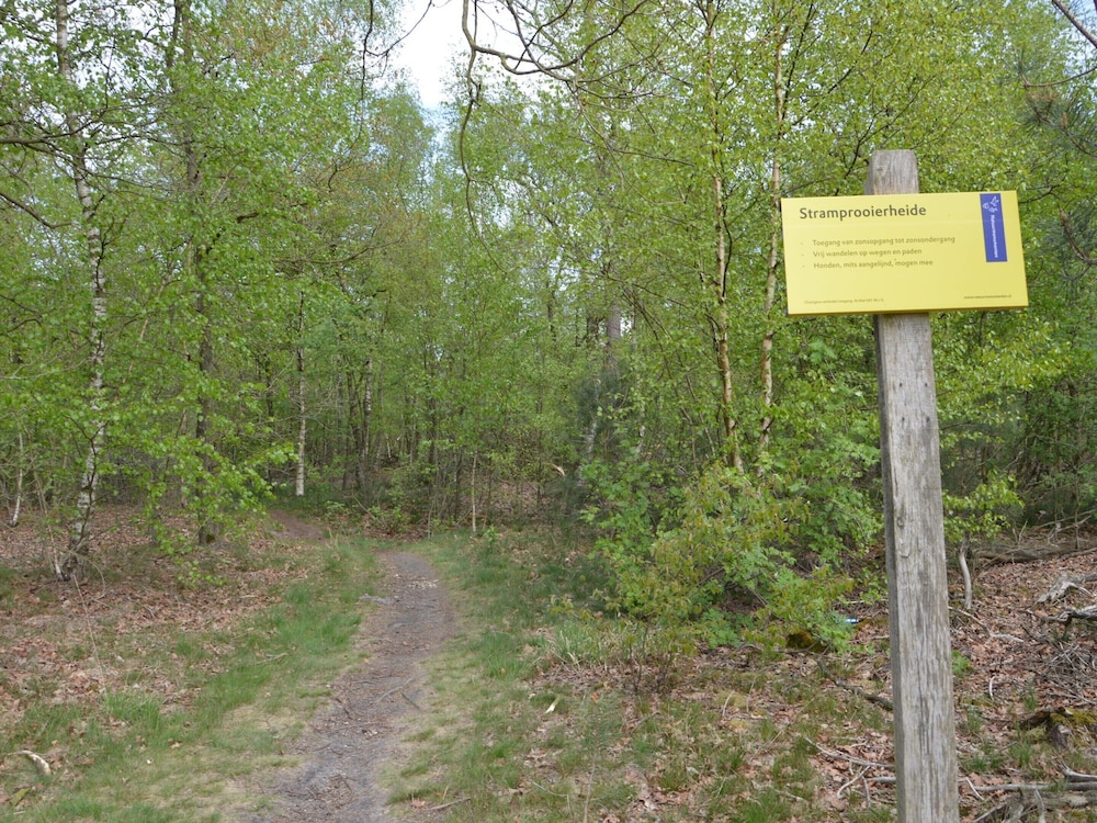 Photo 45