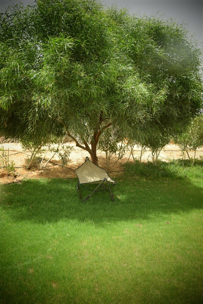 Dar El Ferdaous