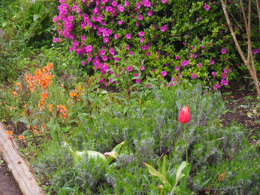 other